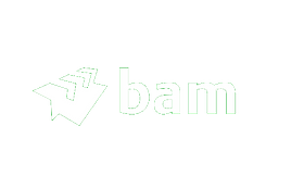 BAM